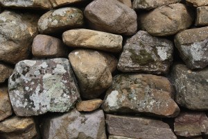 Cicera y alrededores